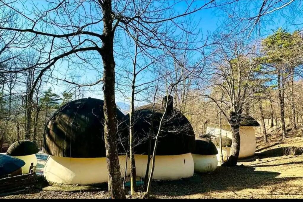 Il Villaggio Dei Puffi Bardineto 外观 照片