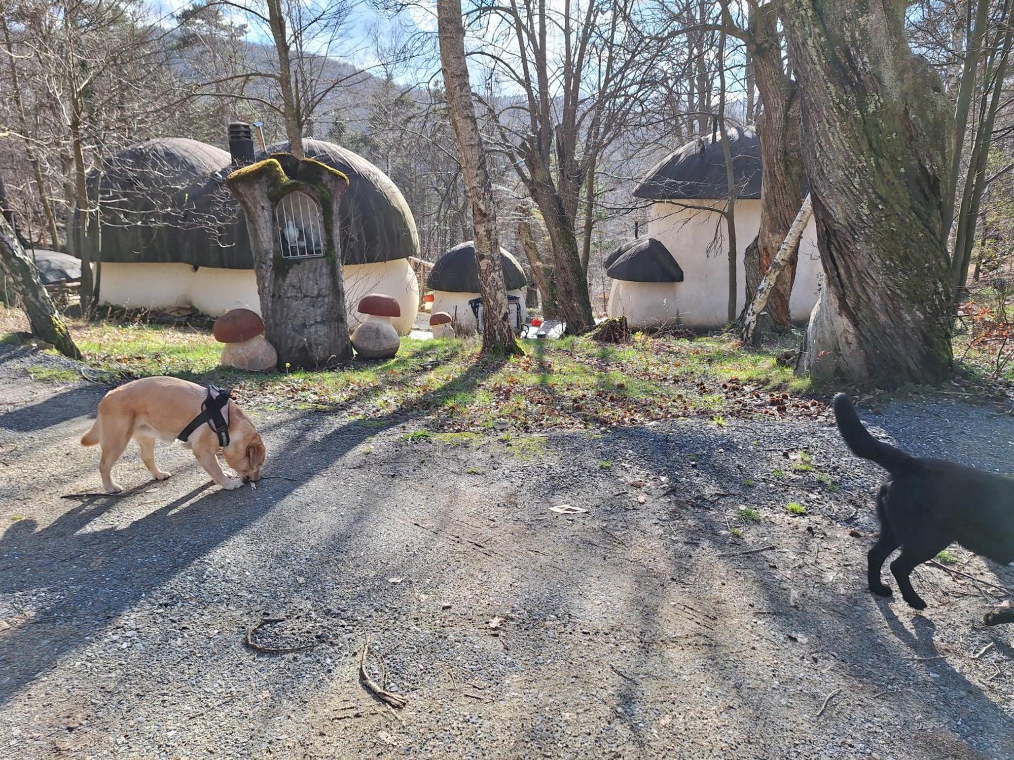 Il Villaggio Dei Puffi Bardineto 外观 照片